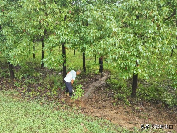 群策群力扬帆起航,齐心协力筑牢防线