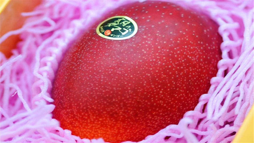 这些世界顶级水果吃过的都是土豪,全世界十大最贵的顶级水果