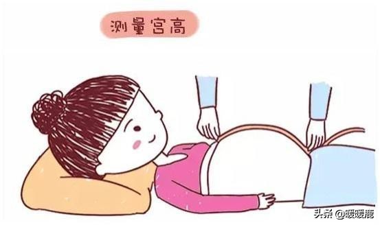 孕妇要做的产检项目都有哪些,20—24周孕妇做什么检查