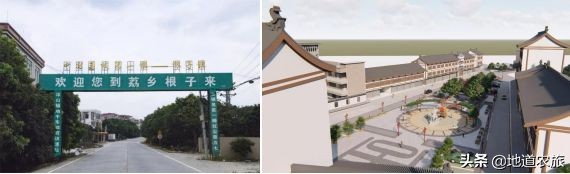 高州荔枝基地介绍,高州荔枝电力产业园