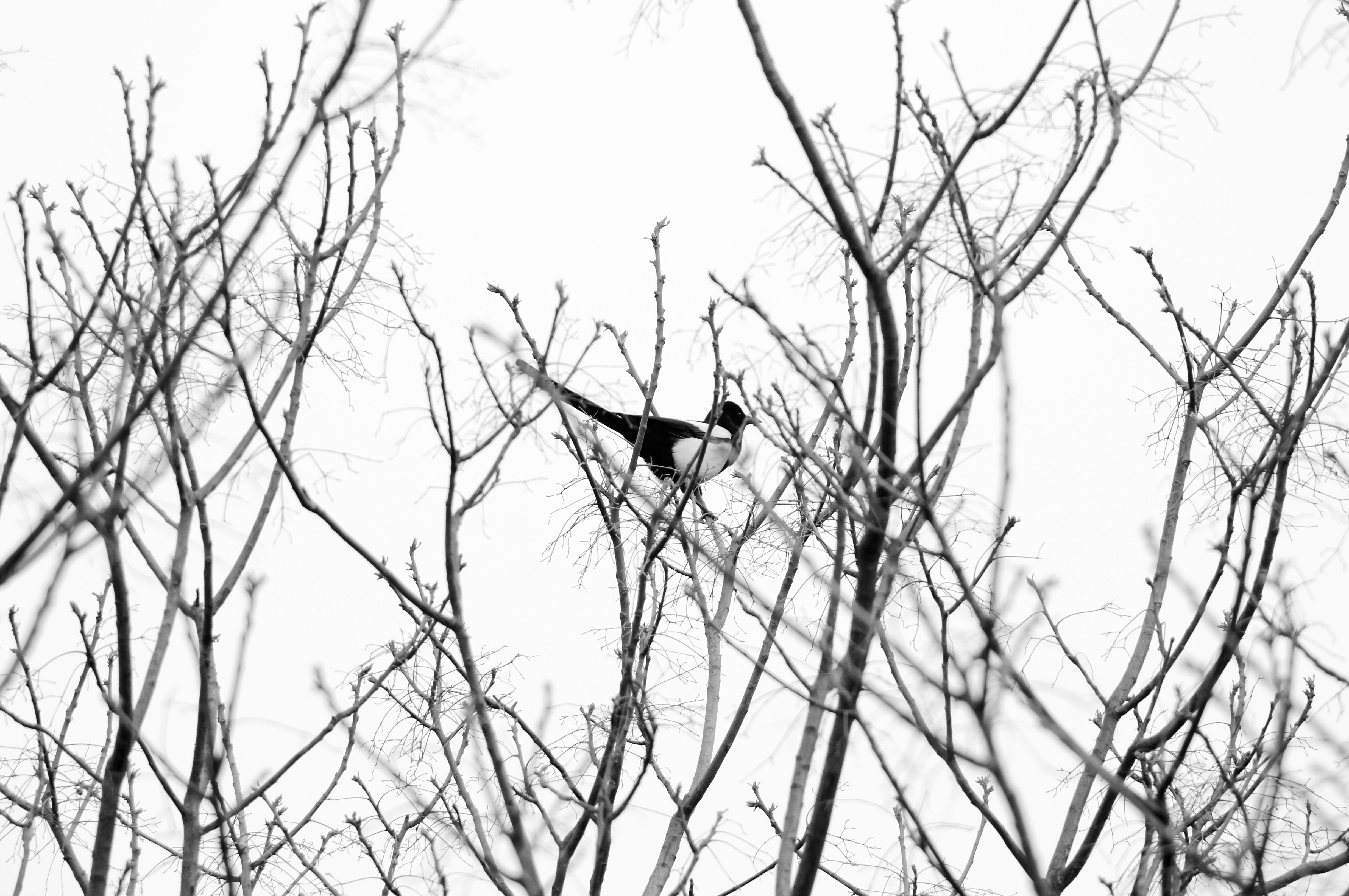 摄影作品创意人像摄影,摄影创作灵感图片