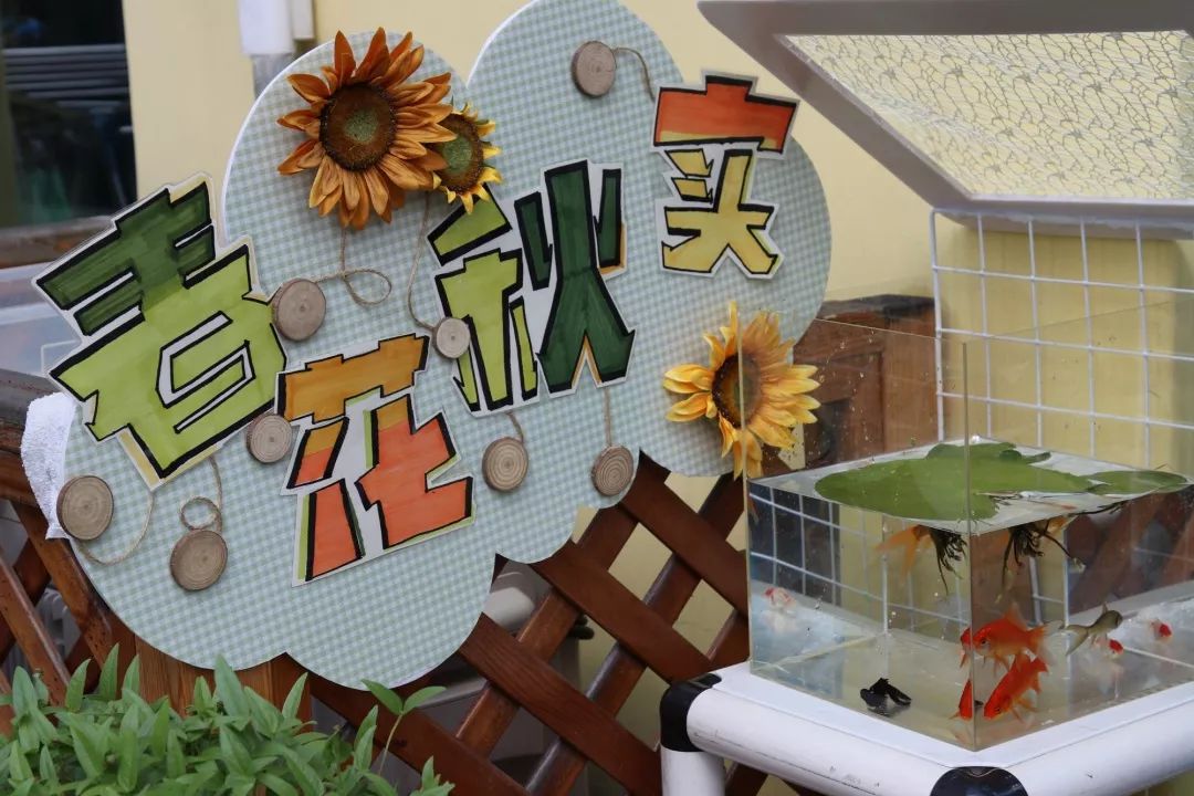 【秋色】一起逛青浦的校园，在书香中邂逅最美的秋