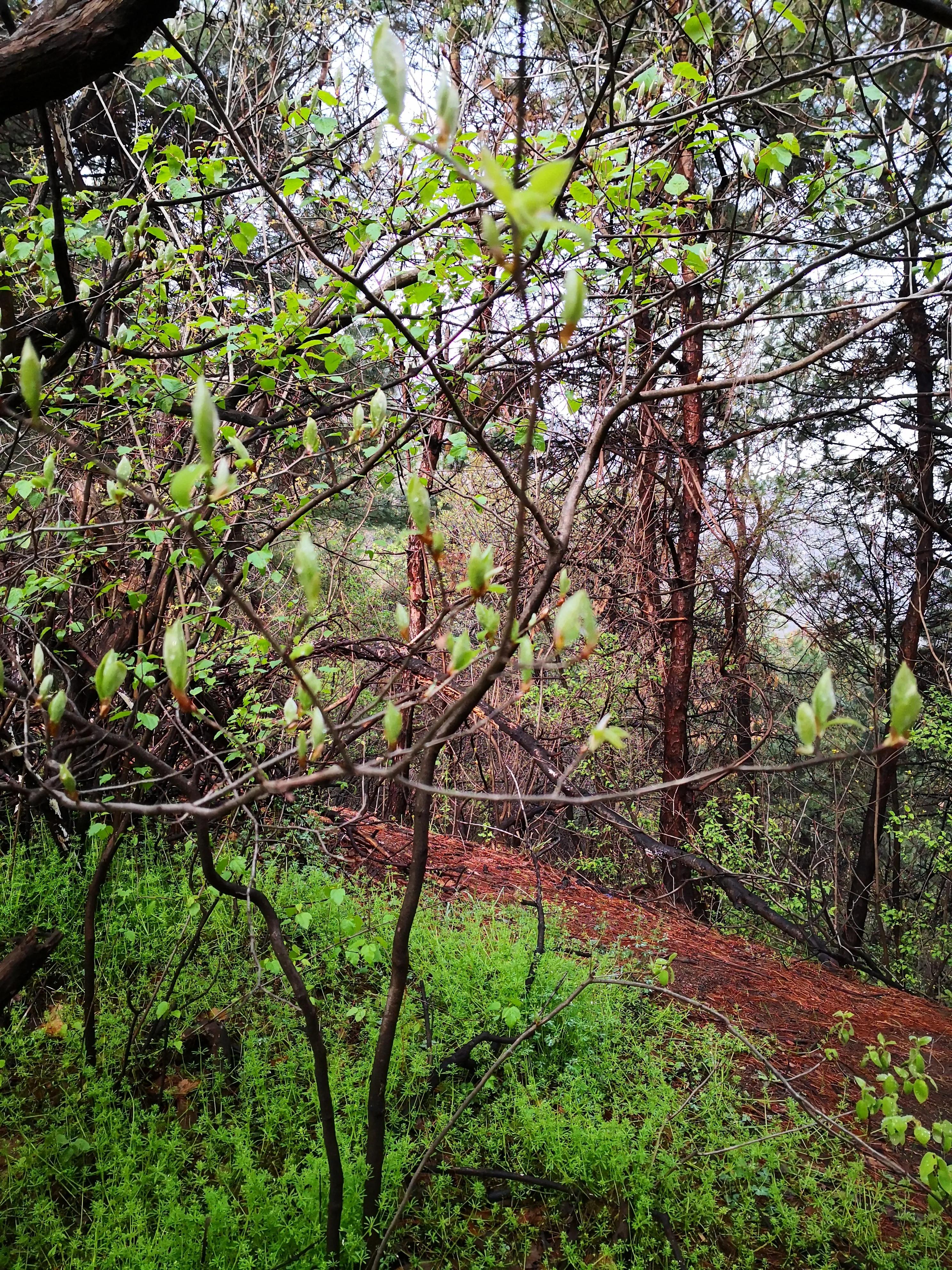 爬山第二天小腿肌肉僵硬如何缓解,爬山后小腿疼如何缓解