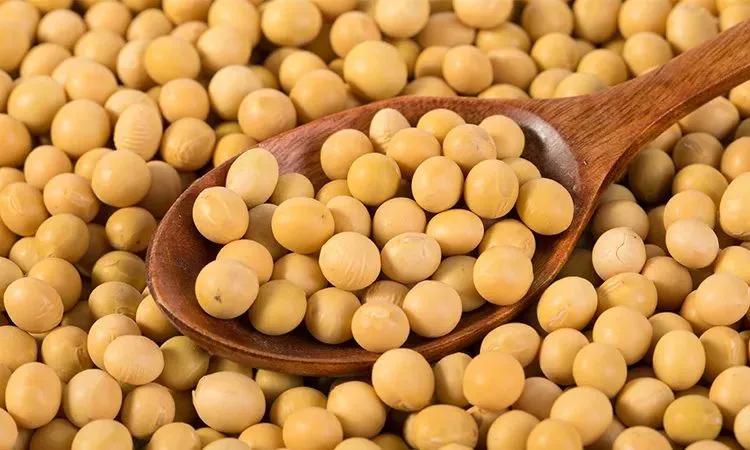 配上一杯豆浆一家人的早餐都搞定,适合一家人喝的早餐豆浆食谱