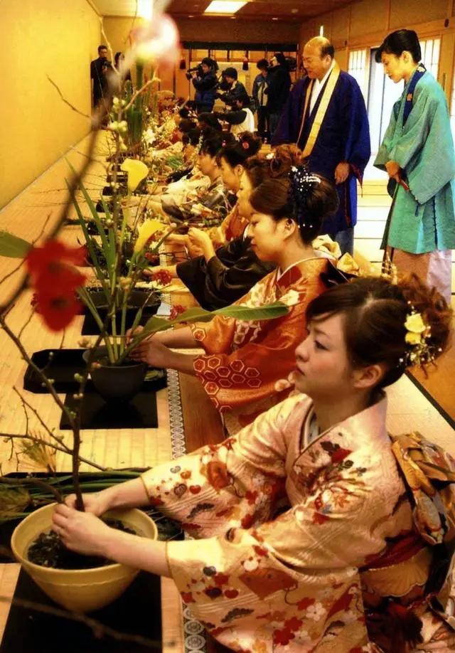 花艺必备|盘点那些超受欢迎的日本进口花材