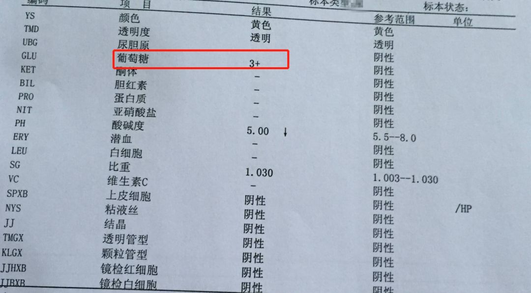 手把手教你看懂血糖检测报告单,糖尿病风险评估报告单怎么看