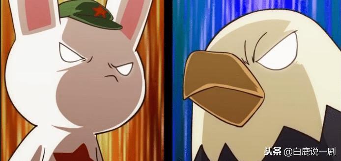 那些年那些兔爱国动画短片,那年那兔那些事爱国照片