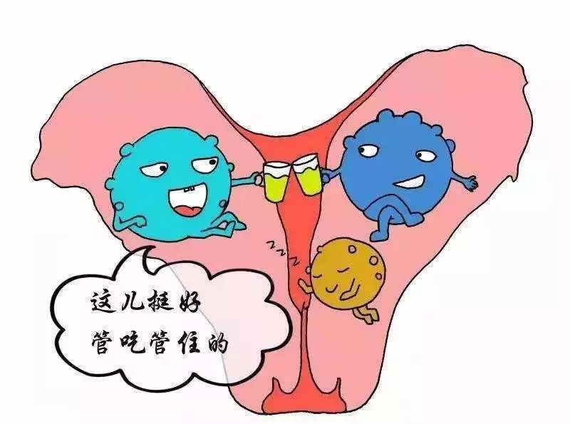 22岁女子游泳,去泳池游泳怎么避免得妇科病