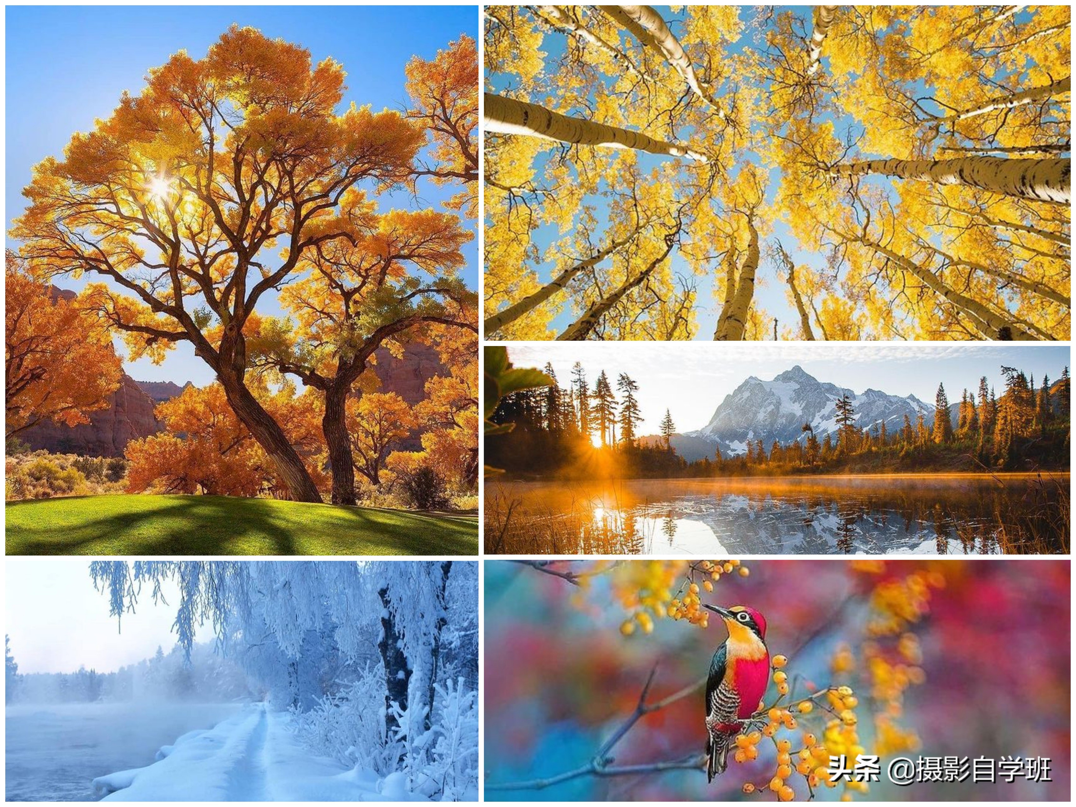 风景不好看怎么拍,风景不知道咋拍好