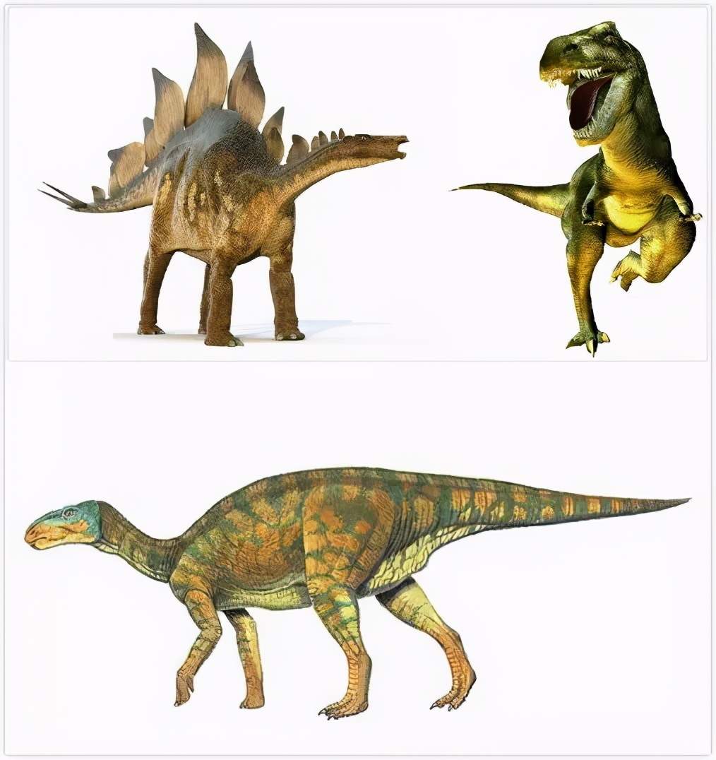 哥斯拉对金刚的激烈对抗,哥斯拉揍金刚的片子