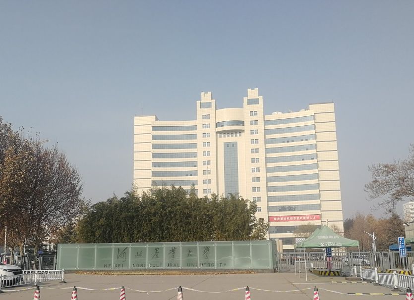 河北高等教育补齐短板,浅说高考