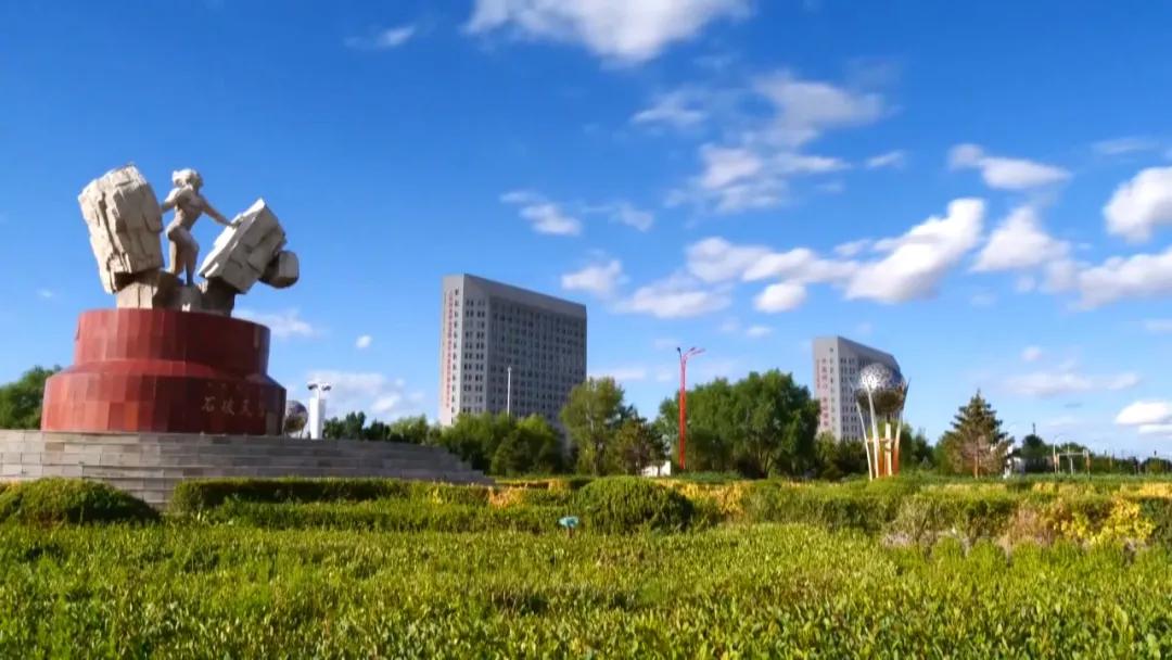 奈曼旗全力打造蒙中药材产业链,奈曼旗中药产业链