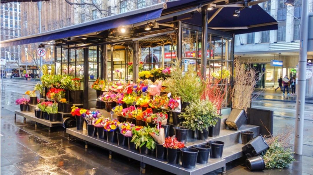 「风尚行」“花花世界”触手可及，隐藏在新亚洲体育城的娇艳诸芳