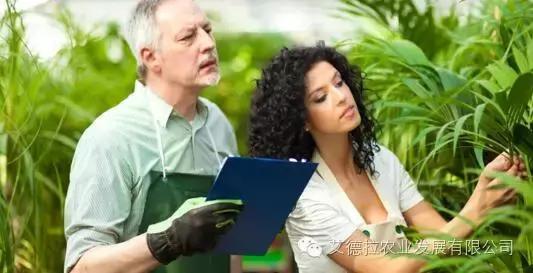 农业水溶肥发展趋势,水溶肥料行业现状和前景