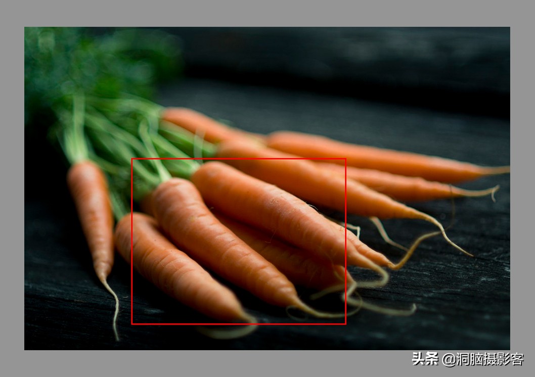 拍照对焦的基本知识,拍图片对焦方法是什么原理