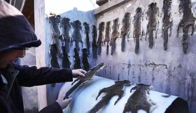 豆瓣9.1这部剧全程高能,豆瓣9.2分最好看的悬疑剧