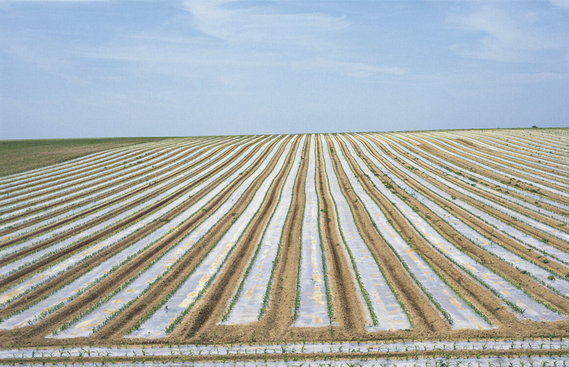 塑料薄膜各种检测,塑料薄膜检测技术