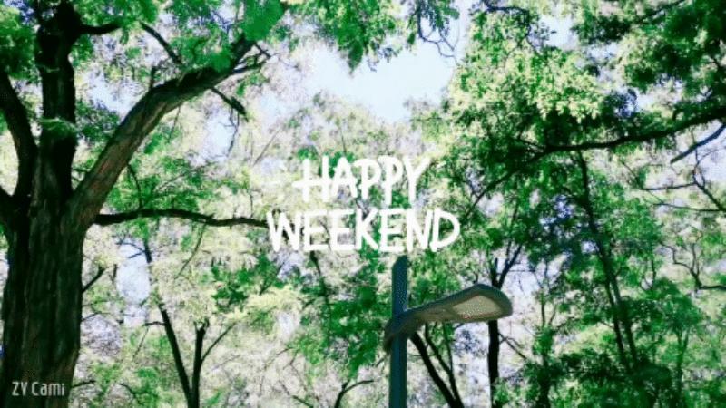 轻巧便携手机云台智云smoothx测评,智云smoothx手持手机云台