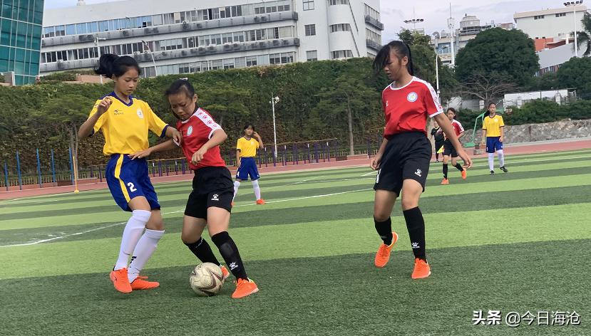 厦门海沧区前十名小学,厦门海沧小学排名前十名