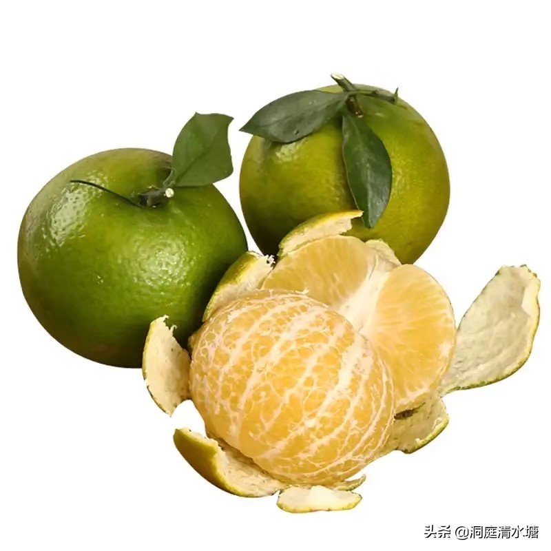 比蜂蜜还甜的柑橘,广西酸酸甜甜好剥皮的柑橘