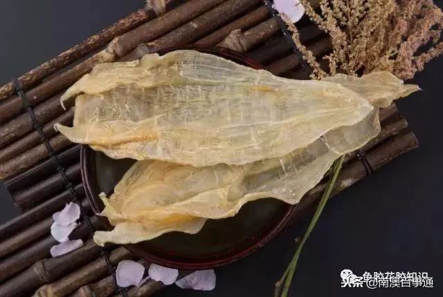 涨知识!鱼胶种类大全,不看亏大了!