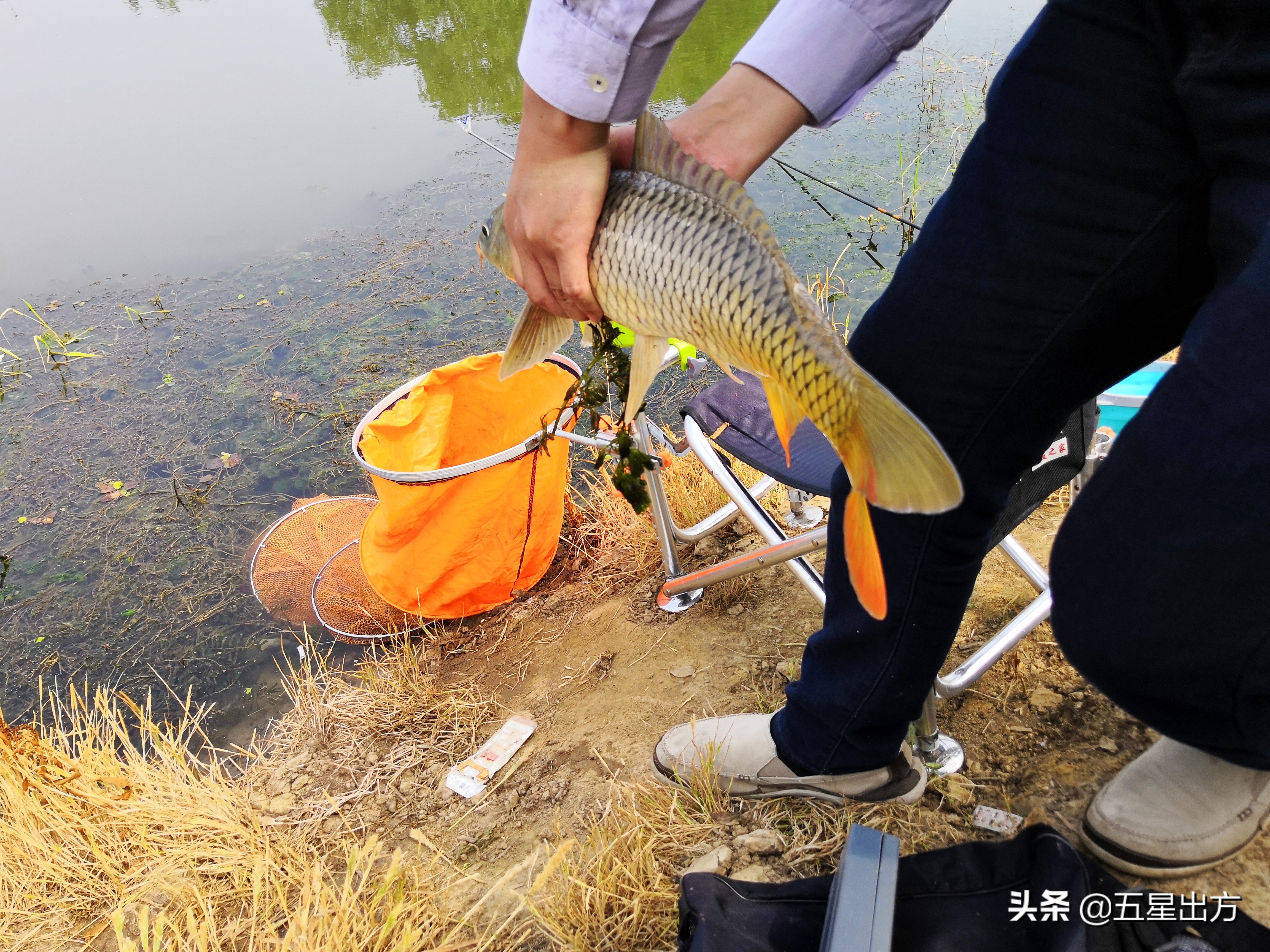 钓大鱼鱼饵商品饵配方图片,冬天爆炸饵钓鲤鱼饵料最佳配方