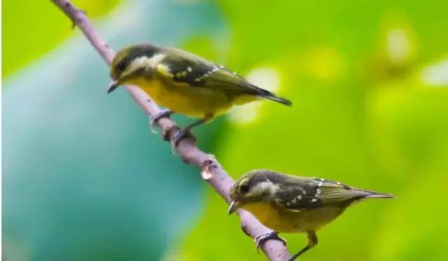 五一武汉市周边游,五一武汉周边短途旅游推荐