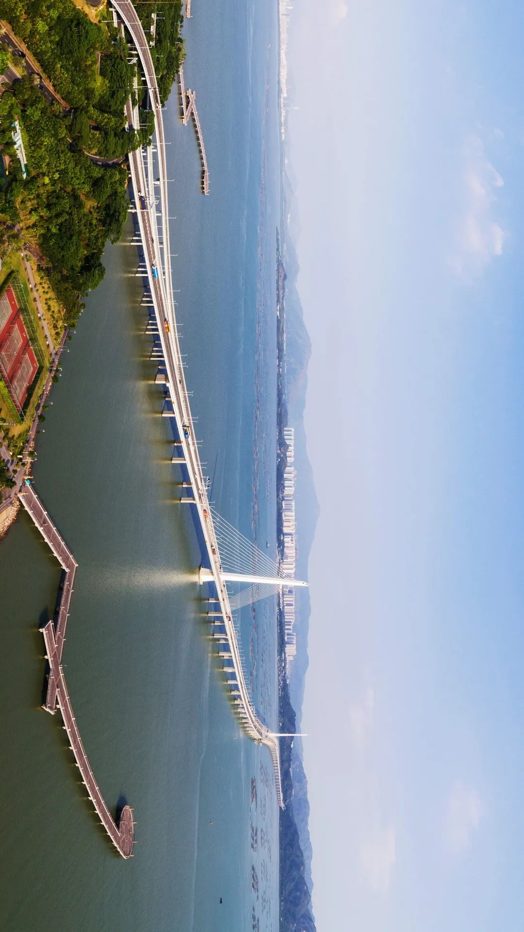 什么是深圳特产,什么是深圳银行