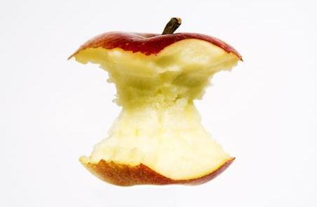 狗狗不能吃什么豆类,狗狗不能吃什么水果图片