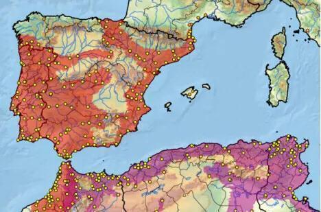 黄喉石龟图片大全,欧洲黄喉