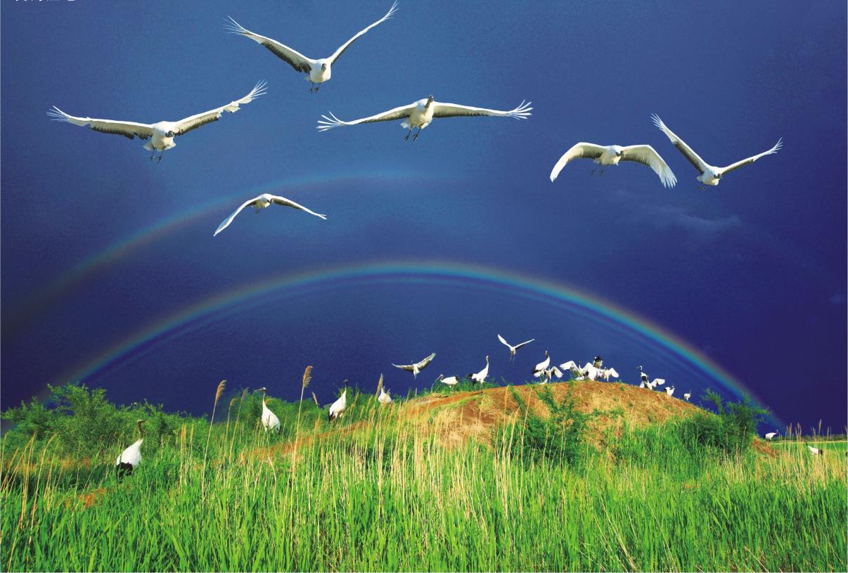 22路旅游专线,十条精品绿色旅游线路