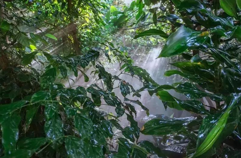 杭州泡汤温泉排行榜最新,冬季国内温泉推荐