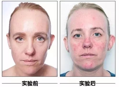 李佳琦跟张柏芝,李佳琦和张柏芝