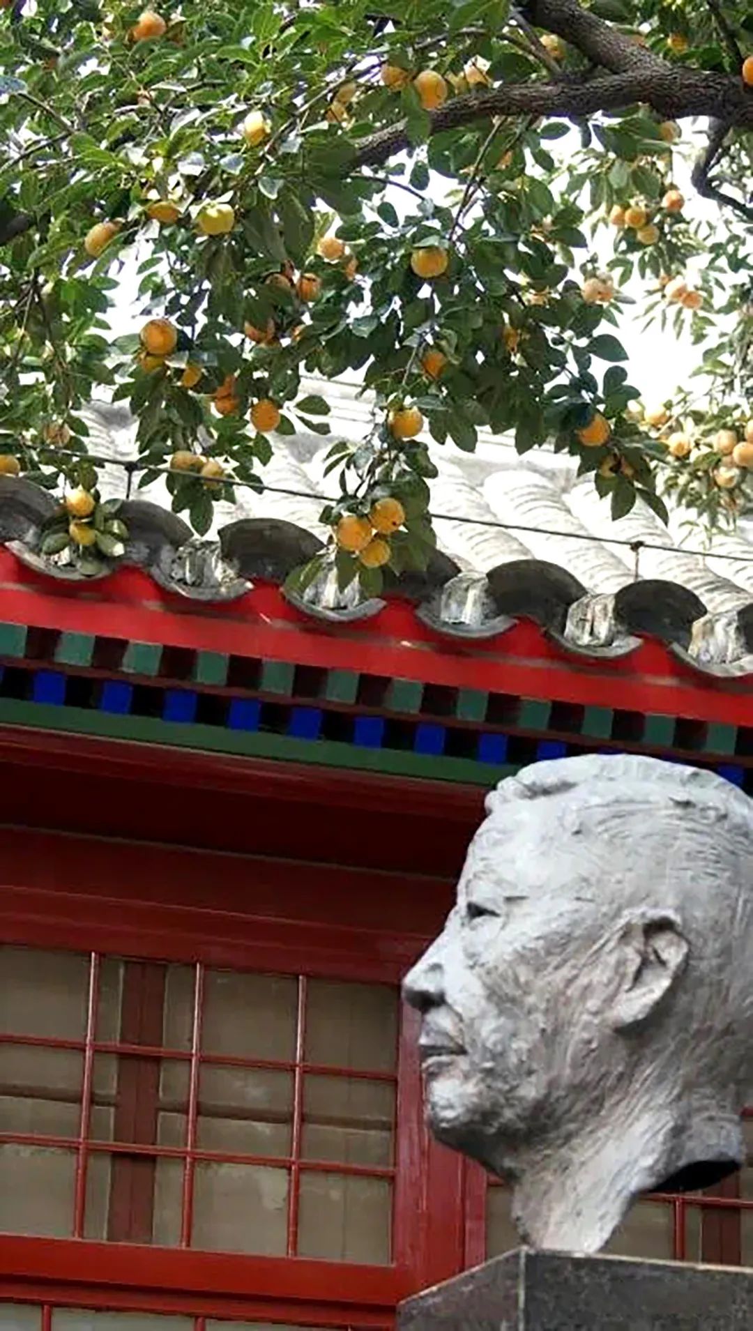 鐢滆湝鐏櫠鏌垮瓙,鐢滆湝鏌垮瓙