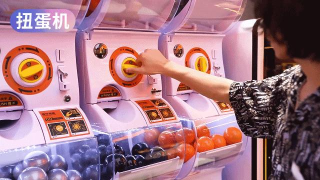 全员加速中2023符龙飞,符龙飞杨迪全员加速中