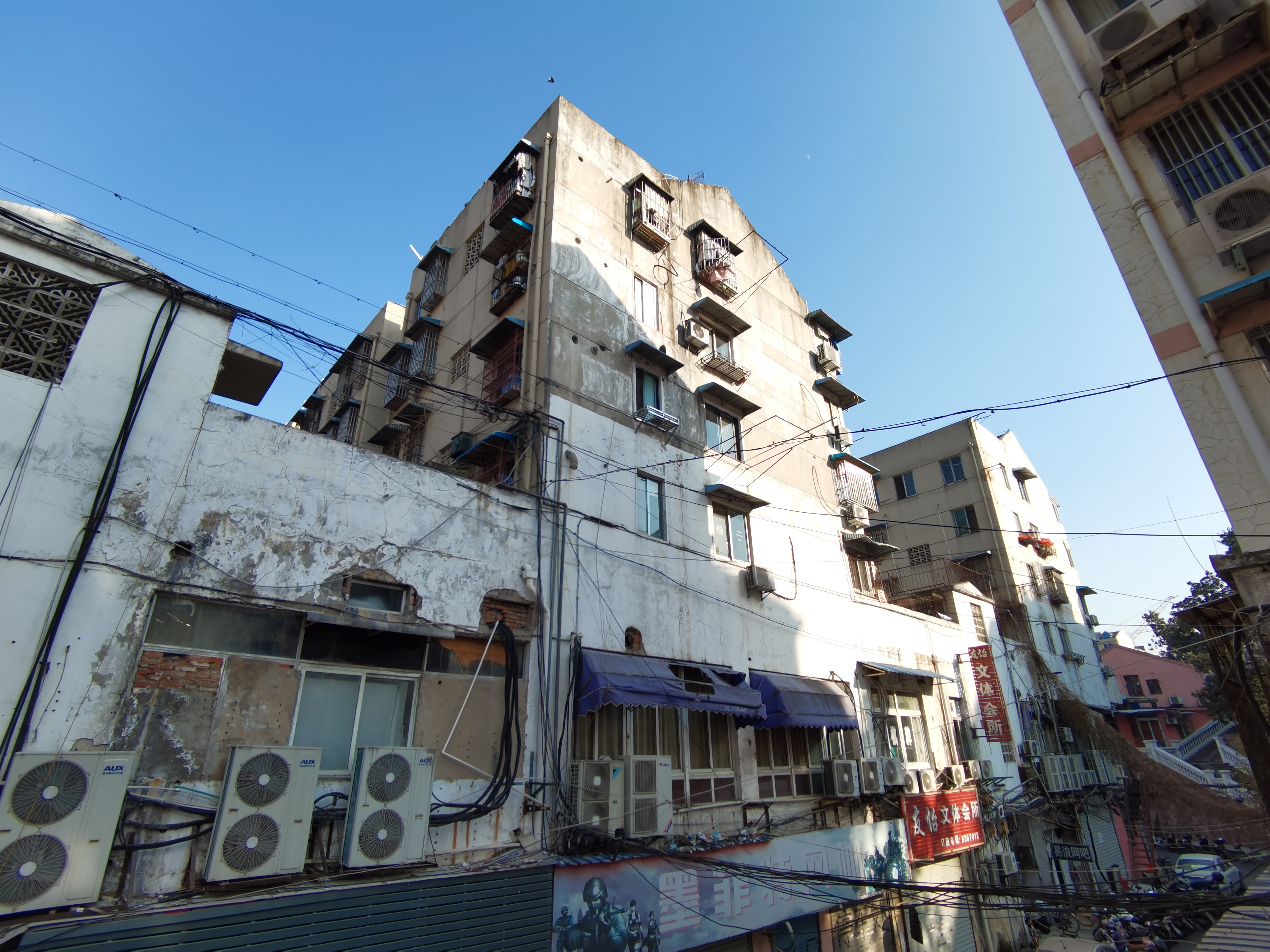 育红小学学区房有哪些,育红11中