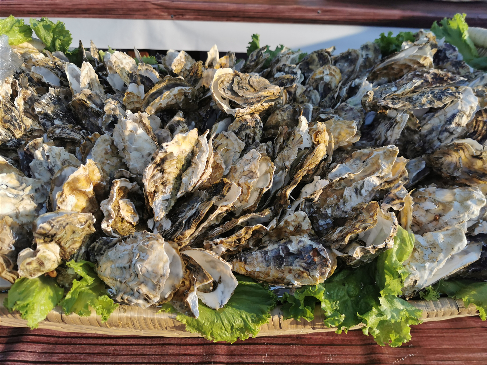 山东长岛旅游攻略,山东长岛旅游攻略自由行