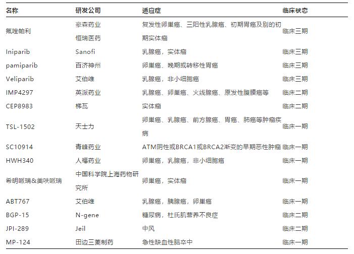parp抑制剂中国适应症,parp药物名称