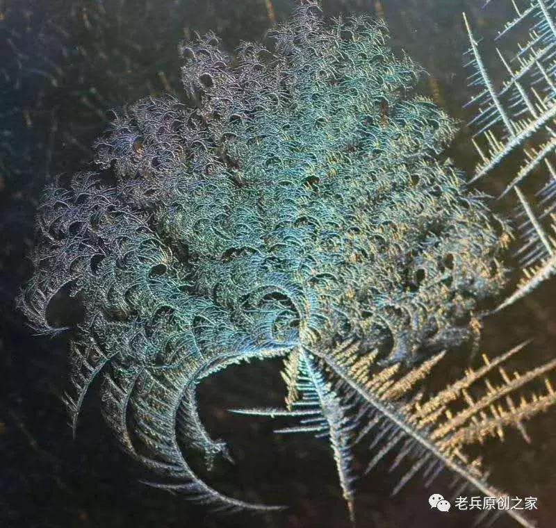 小年礼物赋佳木斯女诗人等诗