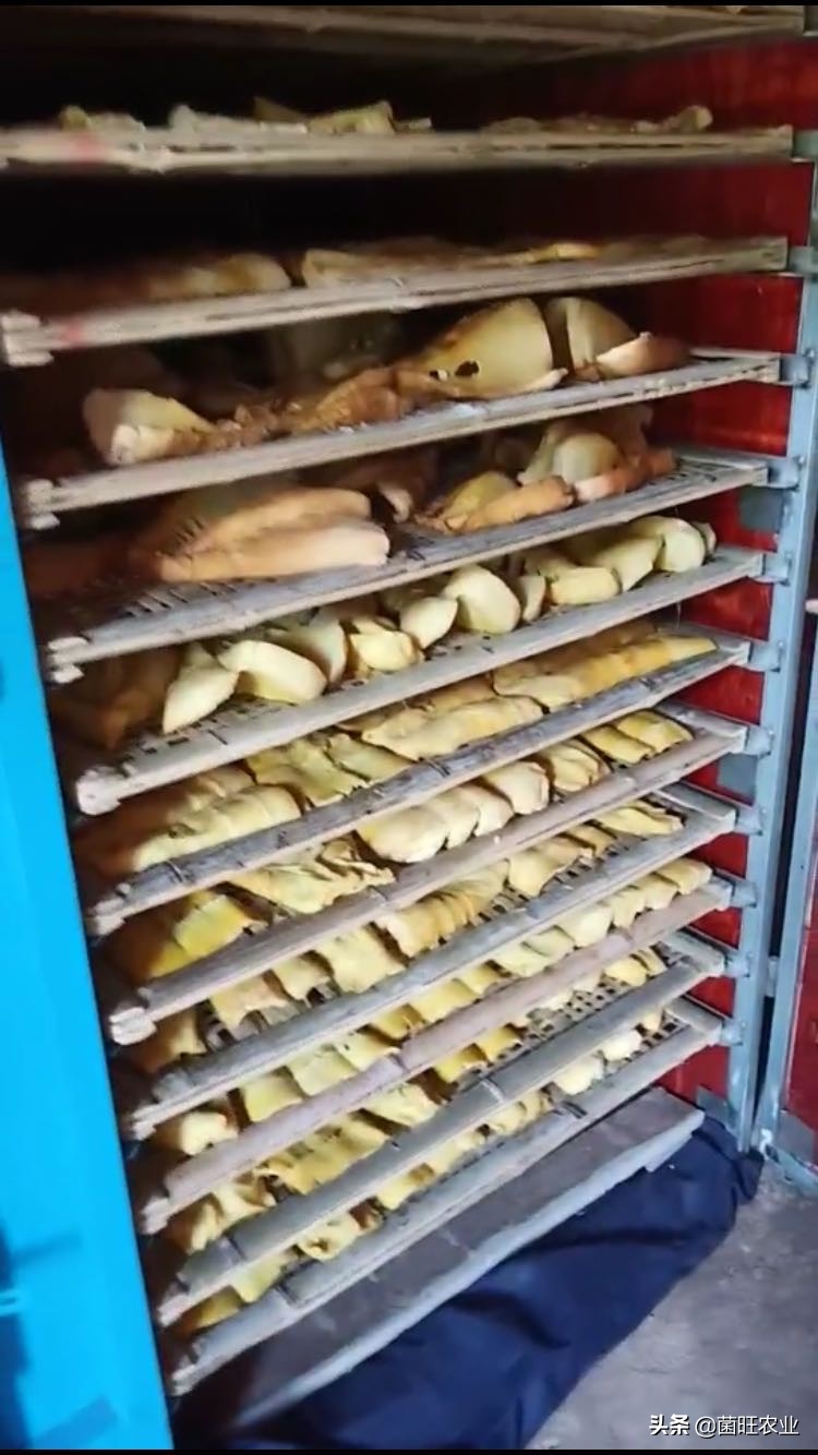 红壳笋干和毛竹笋干,竹笋干怎么吃功效与作用