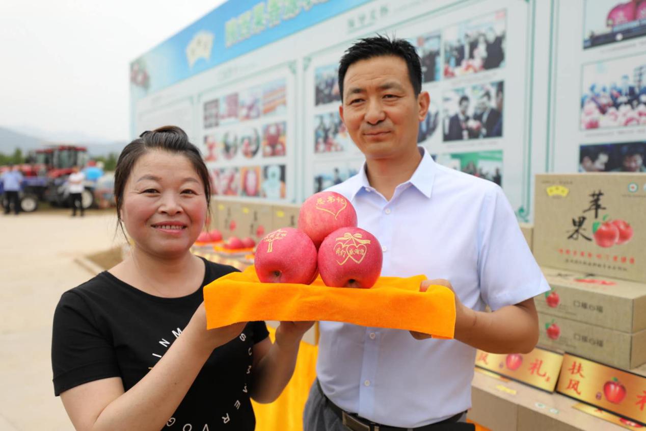 陕西扶风樱桃映红致富路,图说卢氏深山农户走上甜蜜致富路