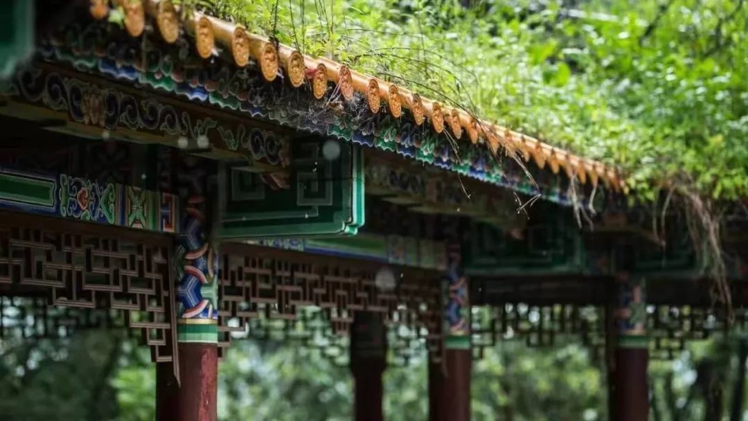 微游|永昌美食十二食辰