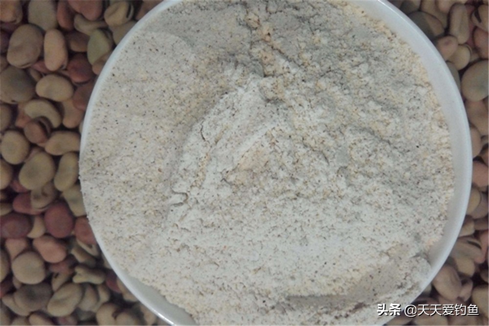 春钓大板鲫小药怎么搭配,春钓大板鲫用多大的子线