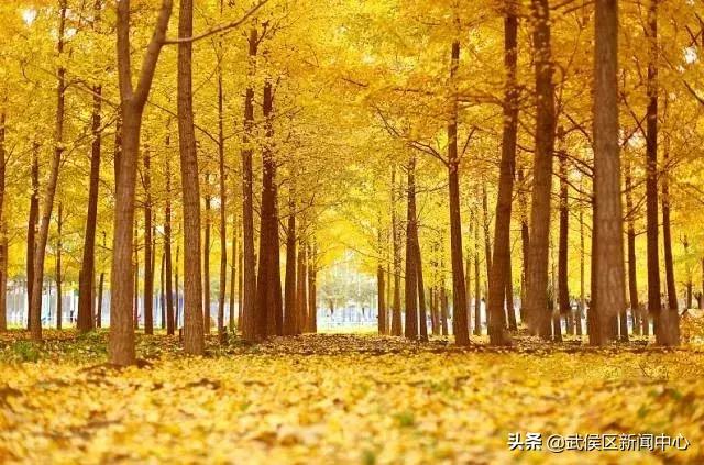 成都地铁2号线沿途景点,成都地铁三号线沿途有哪些景点