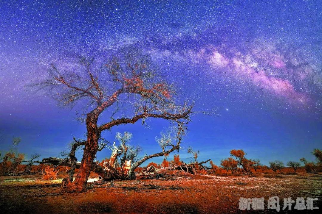 来*疆新**吧!这里的星空能满足你对浪漫的所有幻想……