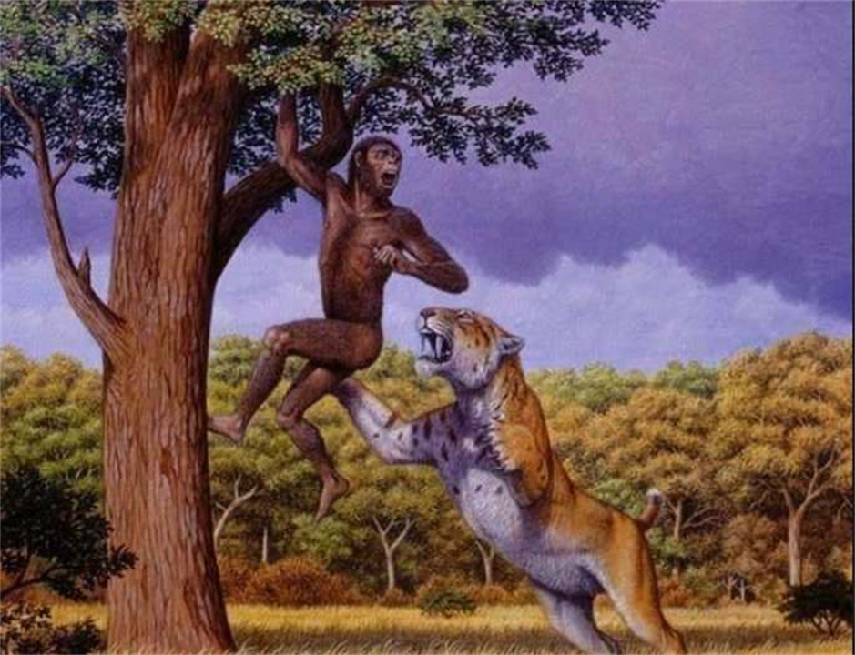 人都是女性生的，在人类出现前，世界上第一个女性是从哪里来的？