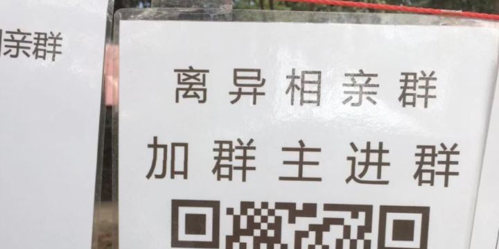 在相亲角逛了一圈,我们差点脱不开身