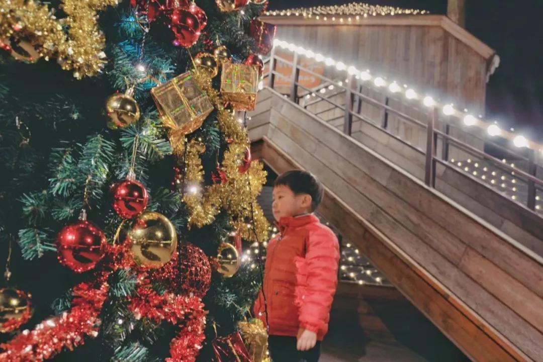 浪漫树屋、奇妙酒店、恒温水乐园...去江浙沪Top酒店跨个30℃的年