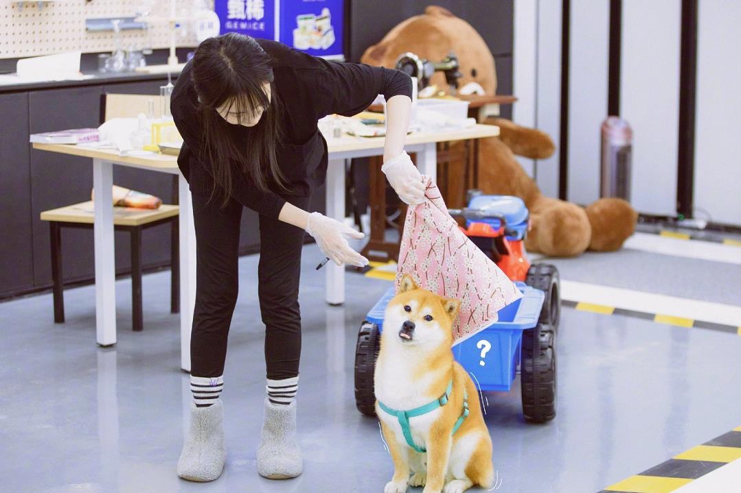 郑爽怕狗狗咬自己，竟要把狗狗牙齿磨平，这是无知还是天生冷漠？