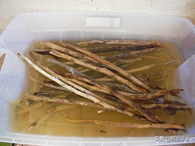 如何处理枯树枝和落叶,如何处理枯树枝图解